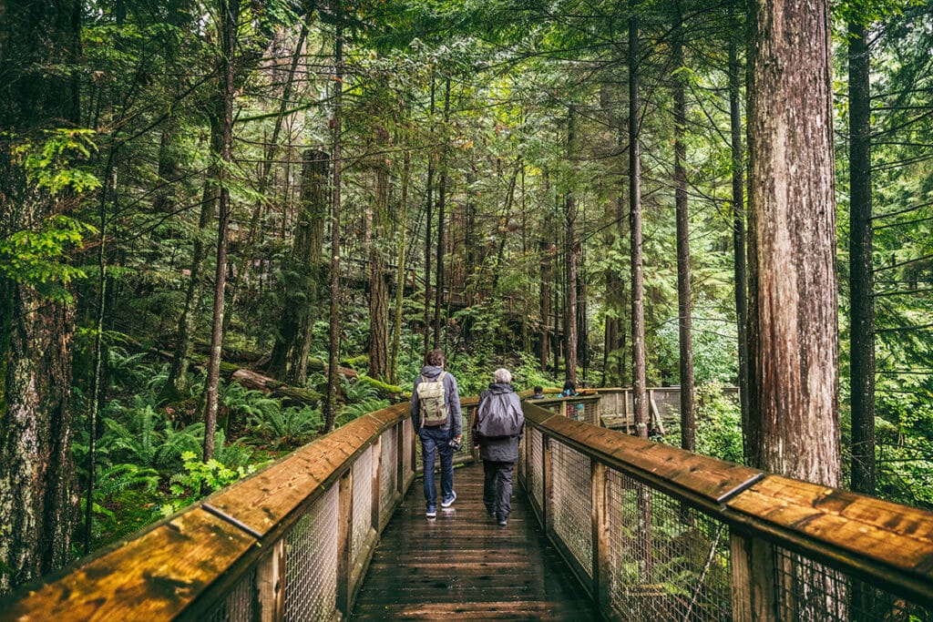 two people walking on a bridge through a beautiful forest