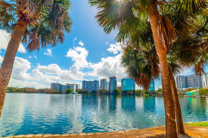 A view of a lake through palm trees with a city scape behind it.