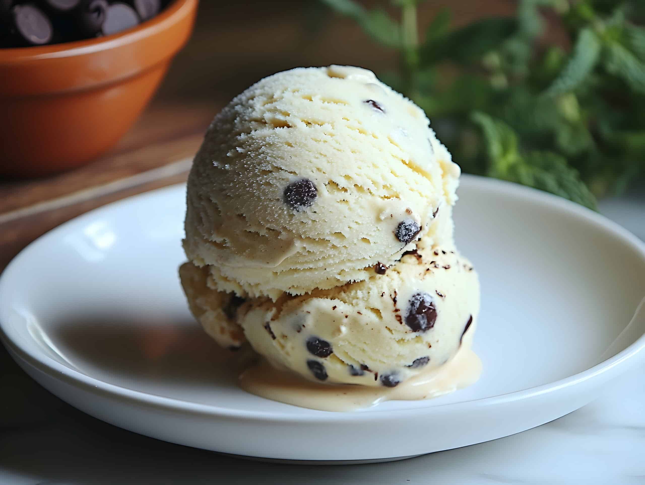 ninja creami vanilla ice cream with chocolate chips